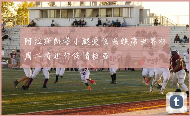 阿拉斯凯塔小腿受伤或缺席世界杯周二将进行伤情检查